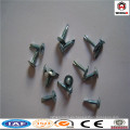 Anping Weihao ofrecen tornillo de rosca de tornillo / tipo diverso